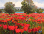 Springtime Poppies